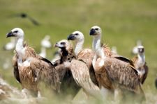 DÜNYA'NIN HER YERİNDEN ZİYARETÇİSİ VAR