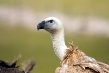 DÜNYA'NIN HER YERİNDEN ZİYARETÇİSİ VAR