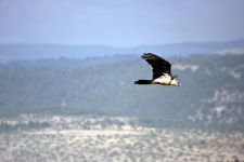 DÜNYA'NIN HER YERİNDEN ZİYARETÇİSİ VAR