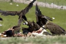 DÜNYA'NIN HER YERİNDEN ZİYARETÇİSİ VAR