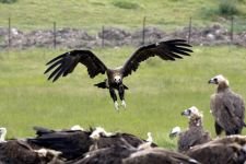 DÜNYA'NIN HER YERİNDEN ZİYARETÇİSİ VAR