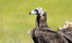 DÜNYA'NIN HER YERİNDEN ZİYARETÇİSİ VAR