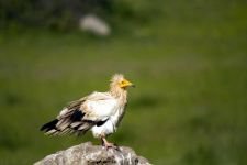 DÜNYA'NIN HER YERİNDEN ZİYARETÇİSİ VAR