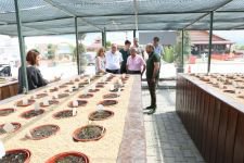 “EMİN ADIMLARLA İLERLEYEN BİR KENT”