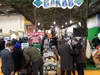 EMİTT FUARI'NDA GEREDE RÜZGARI