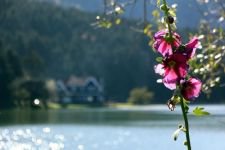 GÖLCÜK TATİLCİ AKINI....