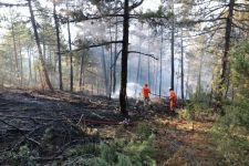 GÖYNÜK YİNE ALEVLER İÇİNDE