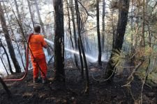 GÖYNÜK YİNE ALEVLER İÇİNDE