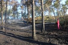 GÖYNÜK YİNE ALEVLER İÇİNDE