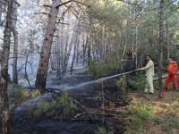 GÖYNÜK YİNE ALEVLER İÇİNDE