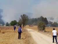 GÖYNÜK'TE BÜYÜK ORMAN YANGINI