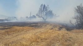 GÖYNÜK'TE BÜYÜK ORMAN YANGINI