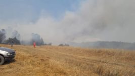 GÖYNÜK'TE BÜYÜK ORMAN YANGINI