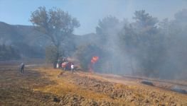 GÖYNÜK'TE BÜYÜK ORMAN YANGINI