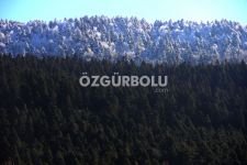 GÜNEŞİ GÖREN GÖLCÜK'E KOŞTU...