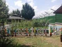 HASTALAR, BU BAHÇEDE TEDAVİ OLUYOR