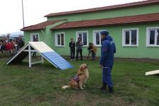 HAYVAN HASTANESİ HİZMETE GİRDİ