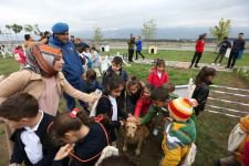 HAYVAN HASTANESİ HİZMETE GİRDİ