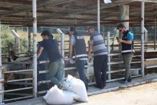 HAYVAN PAZARINDA SAHTE PARA DENETİMİ