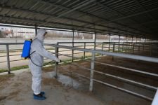 HAYVAN PAZARLARI KAPATILDI