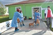 HAYVAN SEVGİSİ PROJESİ BÜYÜYOR