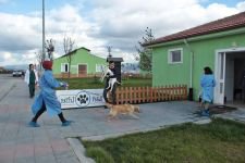 HAYVAN SEVGİSİ PROJESİ BÜYÜYOR