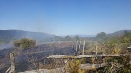 İKİ İLÇEDE PEŞ PEŞE ORMAN YANGINI