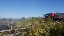 İKİ İLÇEDE PEŞ PEŞE ORMAN YANGINI