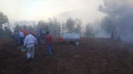 İKİ İLÇEDE PEŞ PEŞE ORMAN YANGINI