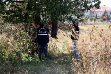 KENDİNİ AĞACA ASIP İNTİHAR ETTİ