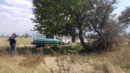 KENDİNİ AĞACA ASIP İNTİHAR ETTİ