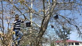 KUŞLAR İÇİN ÖZEL YAPTIRLAN YUVALAR HAZIR