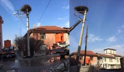 LEYLEK YUVASI İÇİN ÇALIŞTILAR