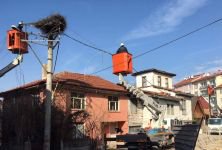 LEYLEK YUVASI İÇİN ÇALIŞTILAR