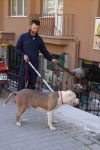 MAHALLEDE PİTBULL DEHŞETİ