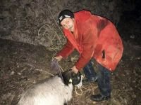 MAHSUR KALAN KEÇİLERİ KURTARDILAR