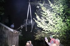 MANDA ÇATIYA ÇIKTI, EKİPLER SEFERBER OLDU