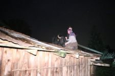 MANDA ÇATIYA ÇIKTI, EKİPLER SEFERBER OLDU