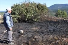 ORMAN YANGINI KONTROL ALTINA ALINDI