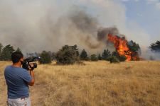 PEŞ PEŞE ORMAN YANGINLARI