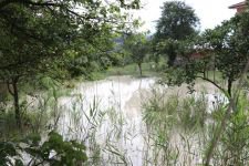 SEBEN'DE SEL FELAKETİ