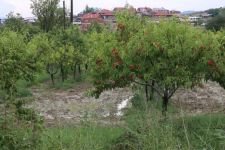 SEBEN'DE SEL FELAKETİ