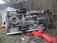 SOĞAN YÜKLÜ KAMYON DEVRİLDİ