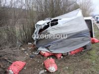 SOĞAN YÜKLÜ KAMYON DEVRİLDİ