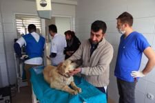 SOKAĞA ATILAN KÖPEĞİ SAHİPLENDİ
