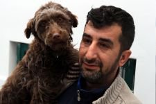 SOKAĞA ATILAN KÖPEĞİ SAHİPLENDİ