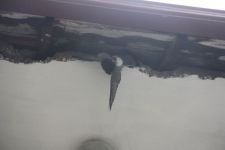 KURTULDU DERKEN YEM OLDU