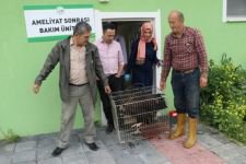 TEDAVİSİNİ YAPIP DOĞAYA SALDILAR