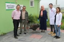 TEDAVİSİNİ YAPIP DOĞAYA SALDILAR