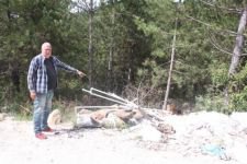 TEMİZ OLMAYI ÖĞRENEMEDİK